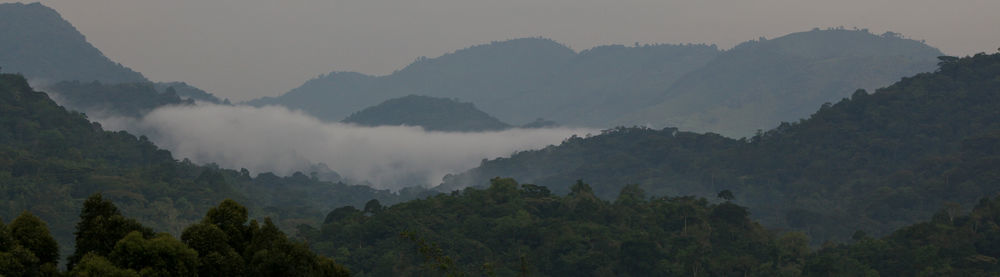 Silverback Lodge Buhoma 外观 照片